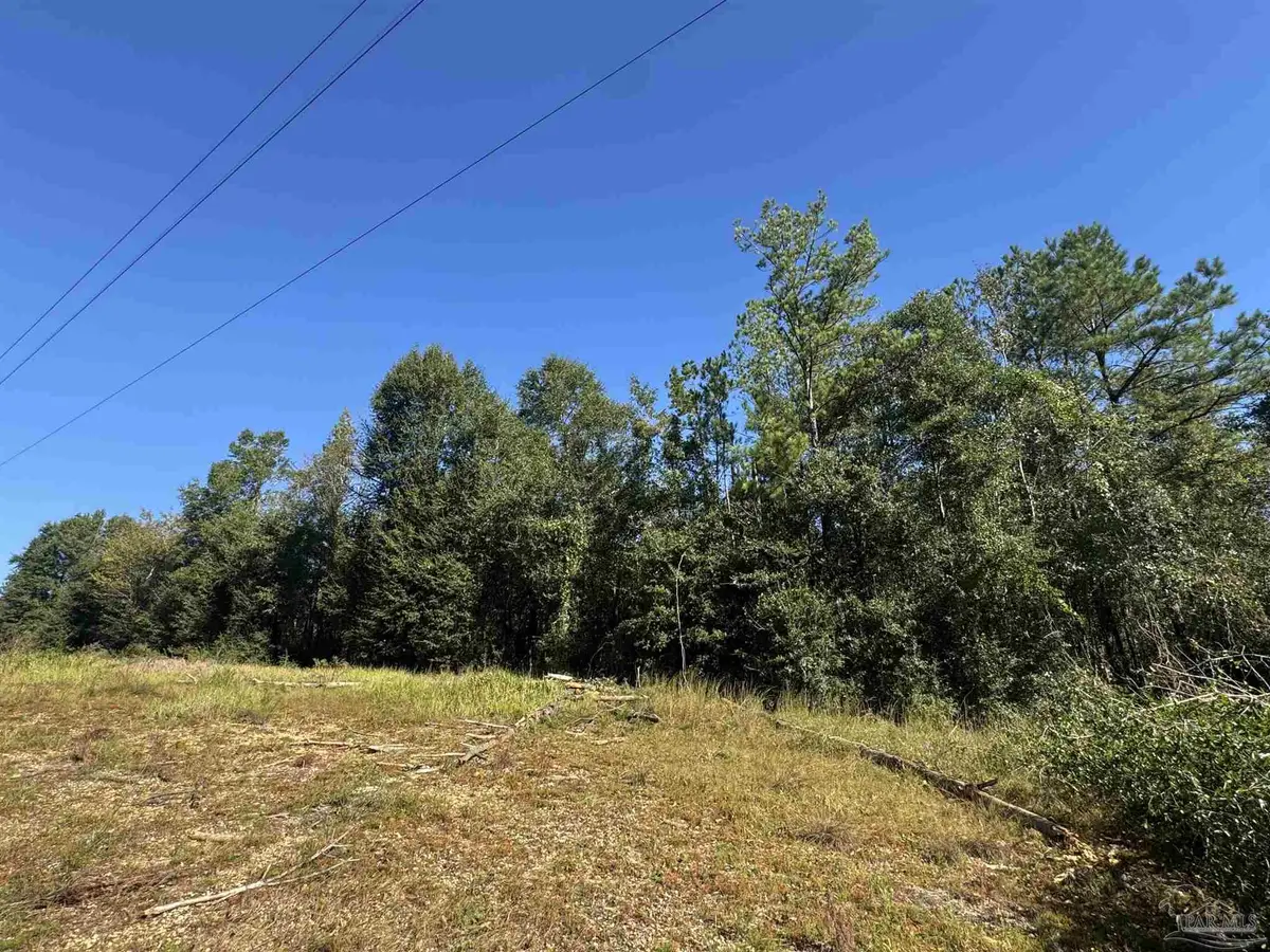 003 Van Hoosen Rd, Flomaton, AL 36441 - #1