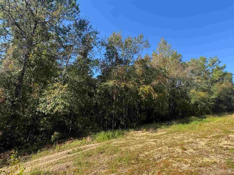 003 Van Hoosen Rd, Flomaton, AL 36441 - #2