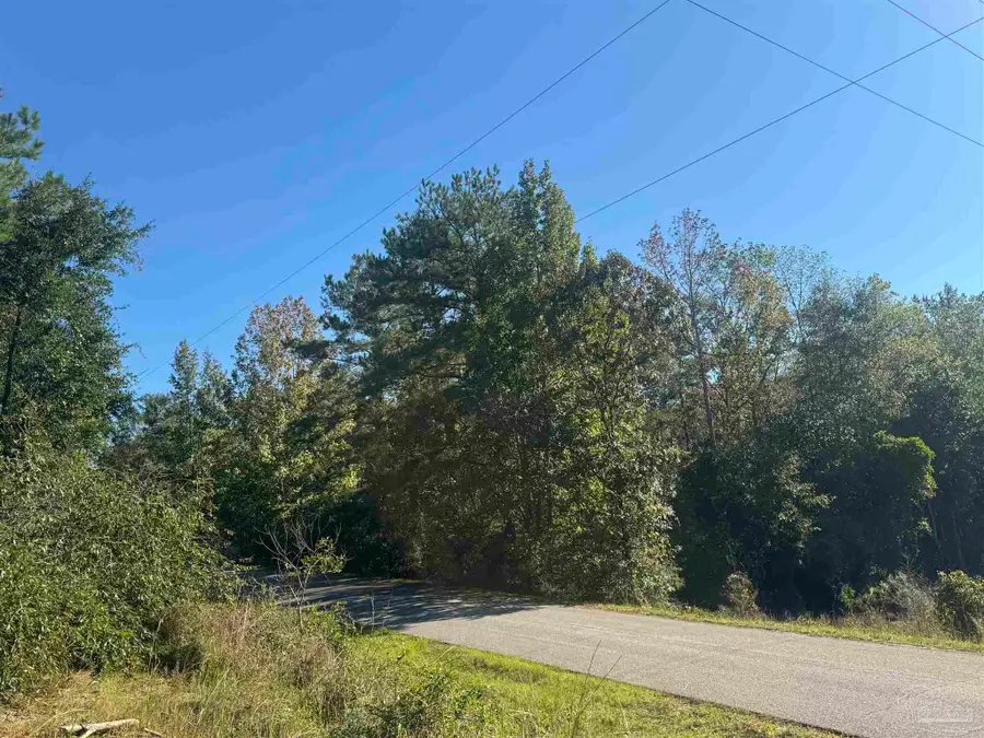 003 Van Hoosen Rd, Flomaton, AL 36441 - #3