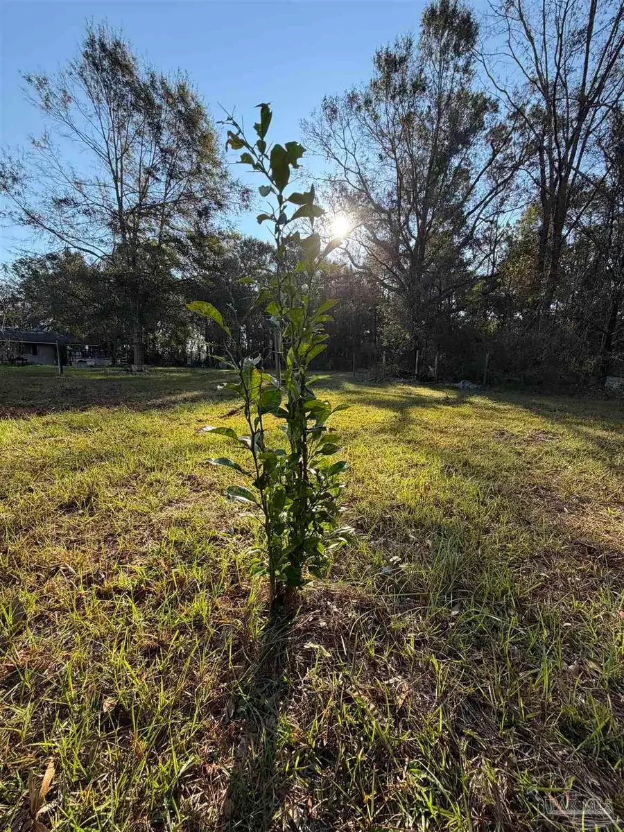 1012 Fleming Bridge Rd, Milton, FL 32570 - #3