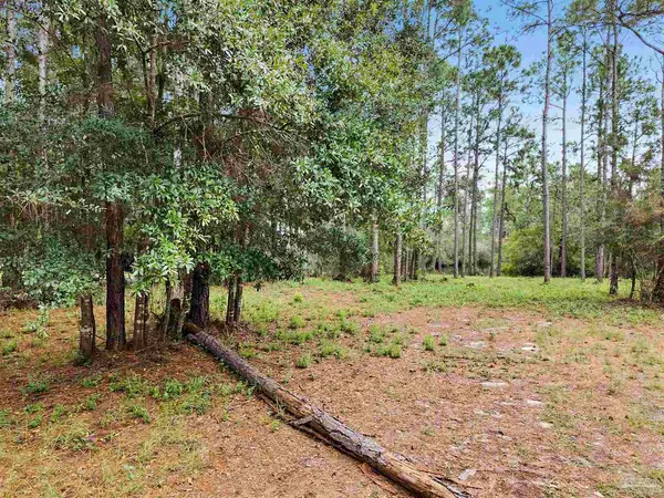 12209 Ailanthus Ct, Pensacola, FL 32506