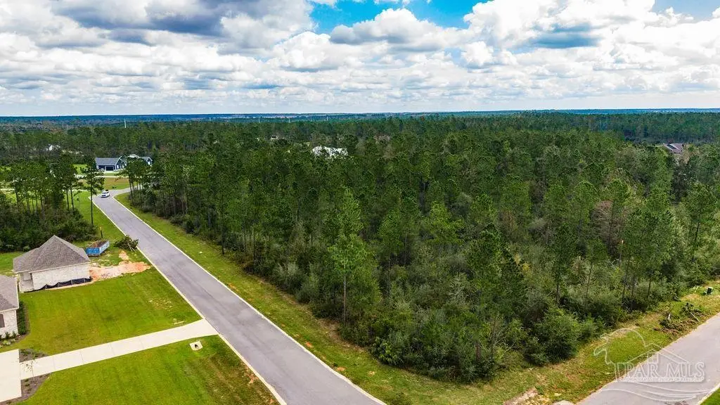 3 ACRES Sage Forest Ln, Pace, FL 32571 - #1