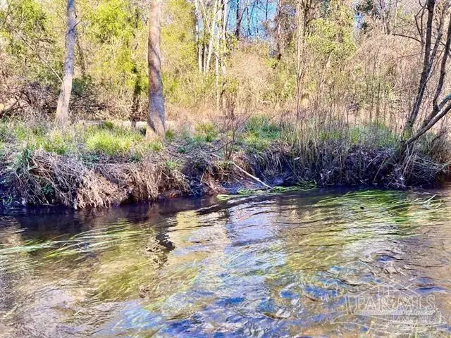 Lot 10 Naturewalk Dr, Jay, FL 32565 - #1