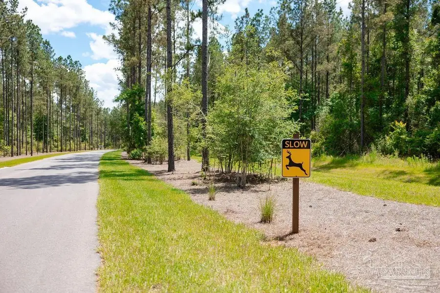 Lot 10 Naturewalk Dr, Jay, FL 32565 - #2