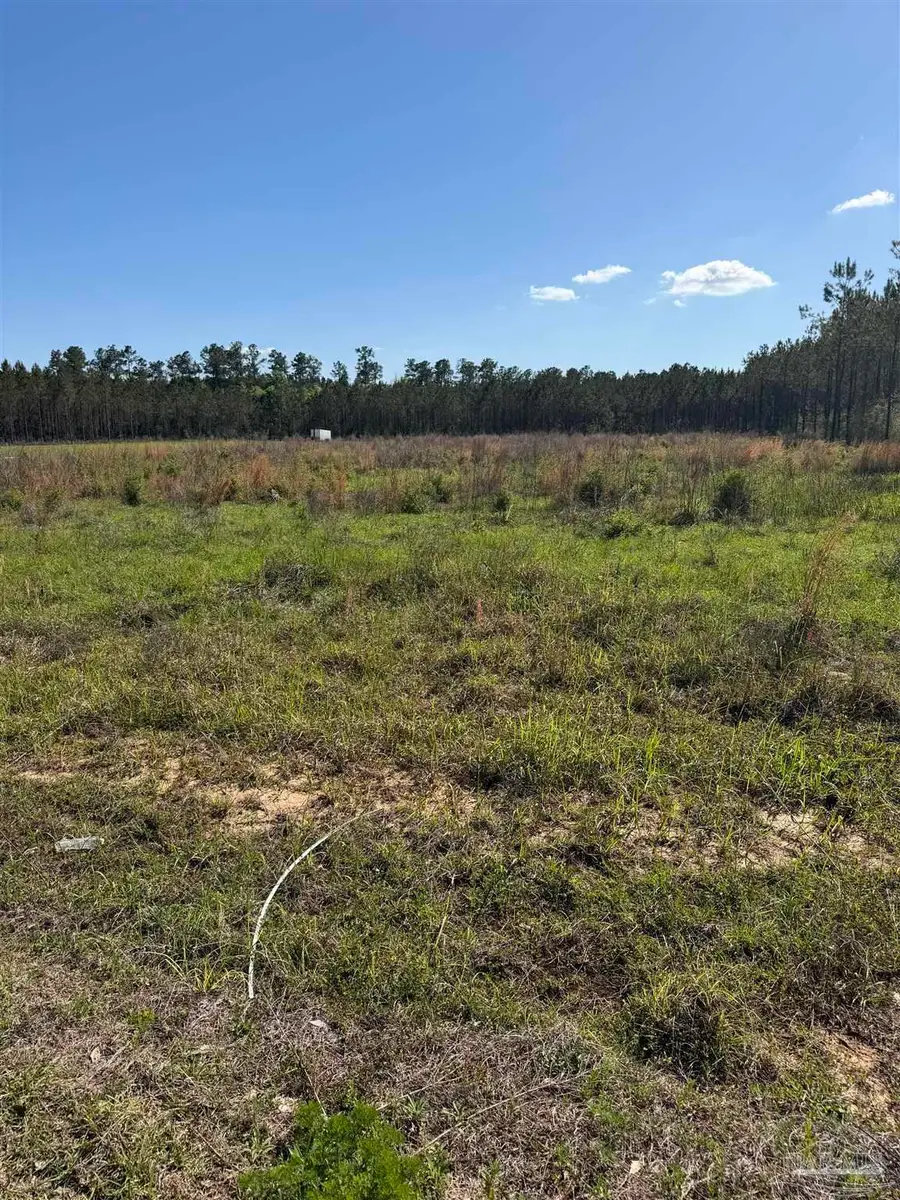 Lot 58 Sage Forest Ln, Pace, FL 32571 - #2