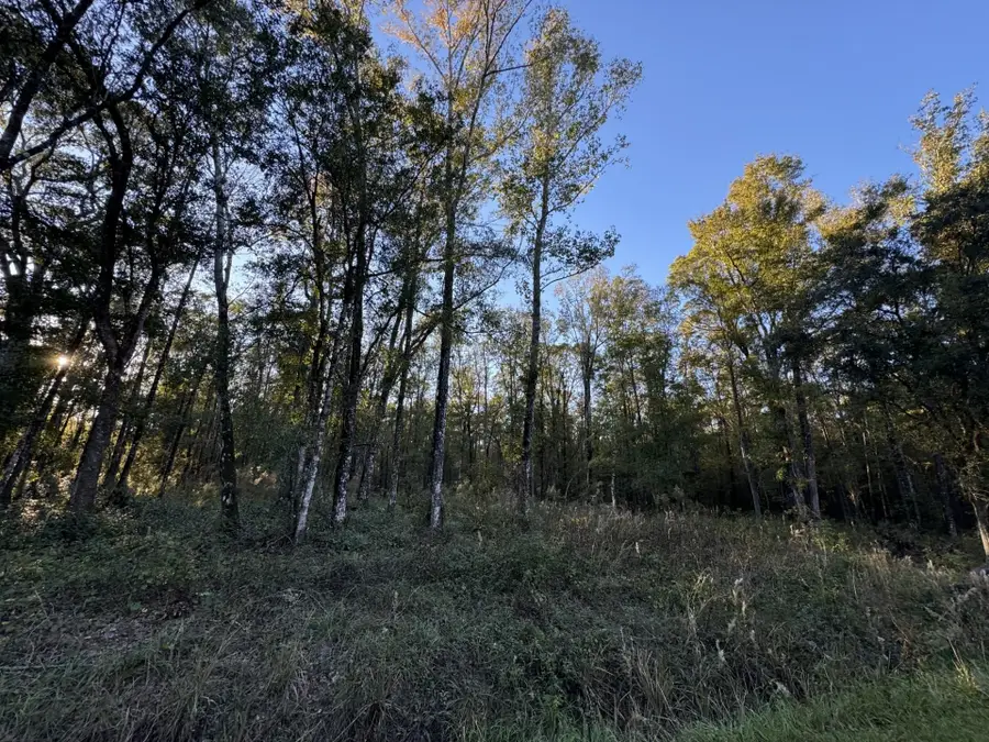 10175 Yeager Ave, Hastings, FL 32145 - Image #2