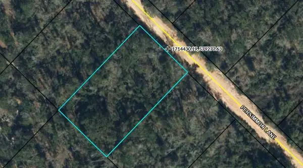 TBD Persimmon Lane, MARIANNA, FL 32446