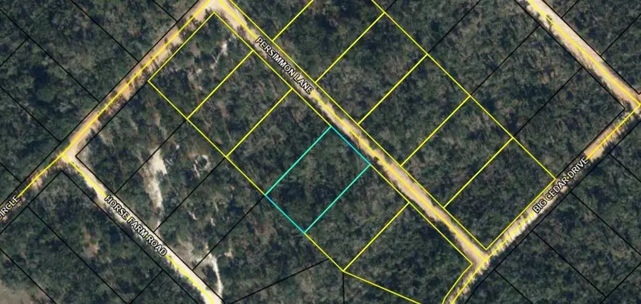 TBD Persimmon Lane, Marianna, FL 32446 - #2