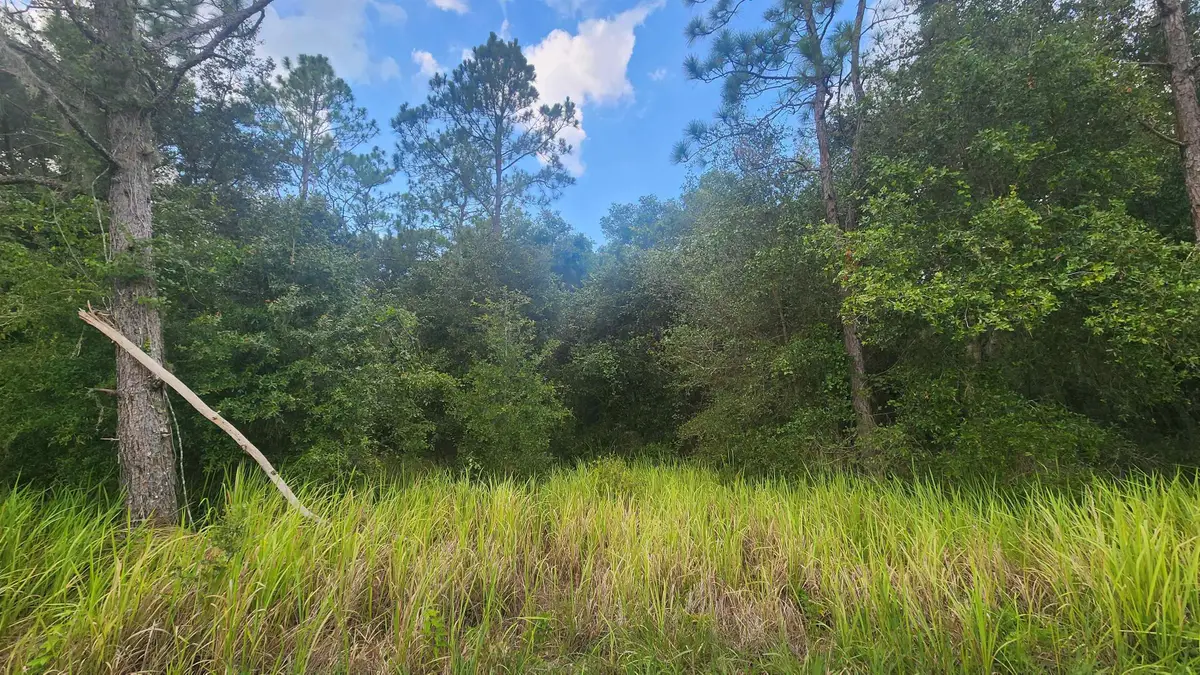 129 Lake View Dr, Pomona Park, FL 32181 - #1