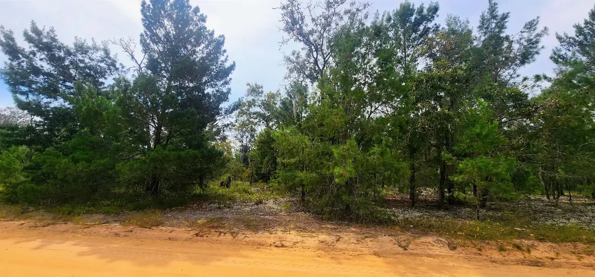 Main St, Interlachen, FL 32148 - #1