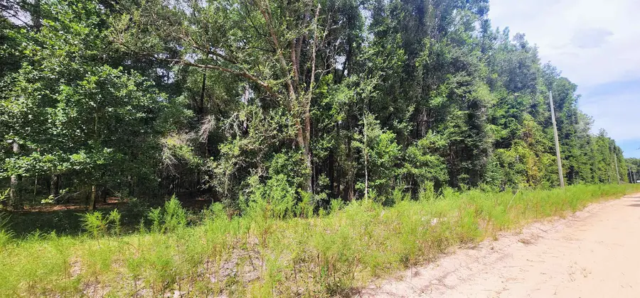 Donys Ave, Interlachen, FL 32148 - #2