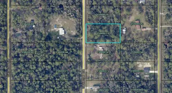 10040 Beckenger Avenue, Hastings, FL 32145