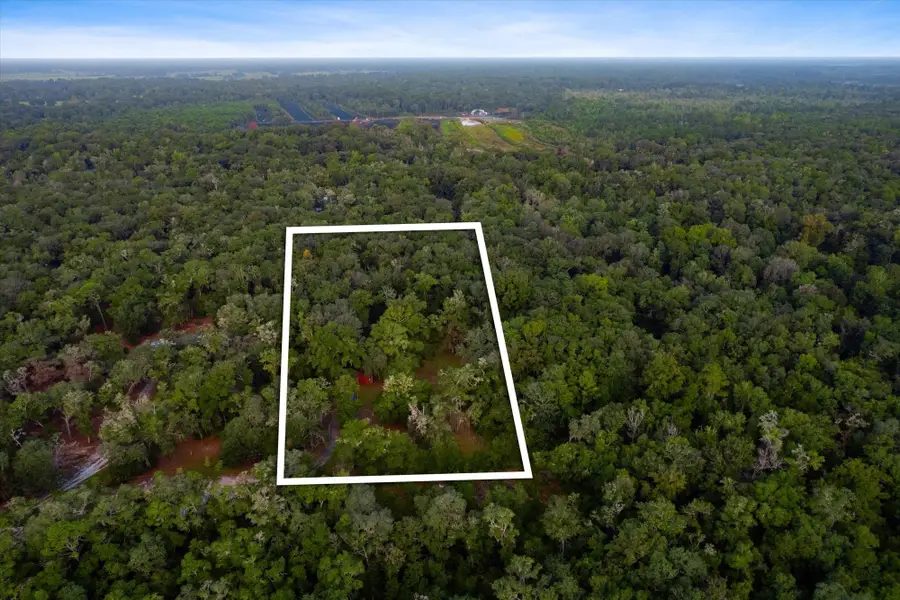 109 Indian Trl, Florahome, FL 32140 - #2