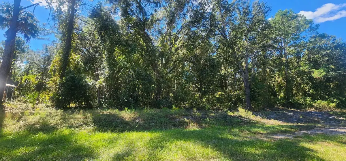 915 Paradise Blvd, Georgetown, FL 32139 - #1