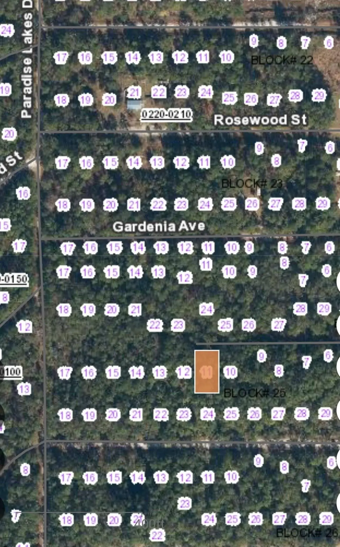 113 Palm Way, Georgetown, FL 32139 - #1