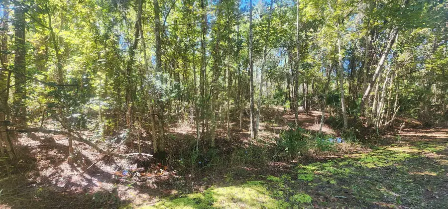 TBD Helen Ave, Georgetown, FL 32139 - #2