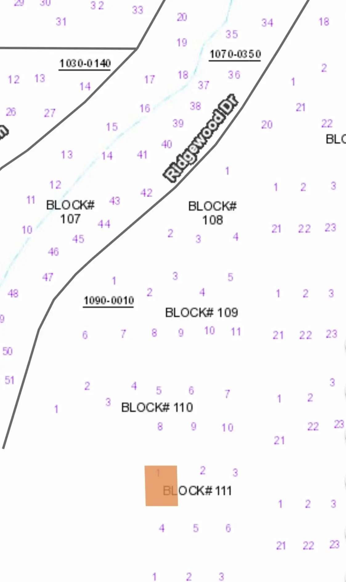 105 Bahama Ct, Georgetown, FL 32139 - #1