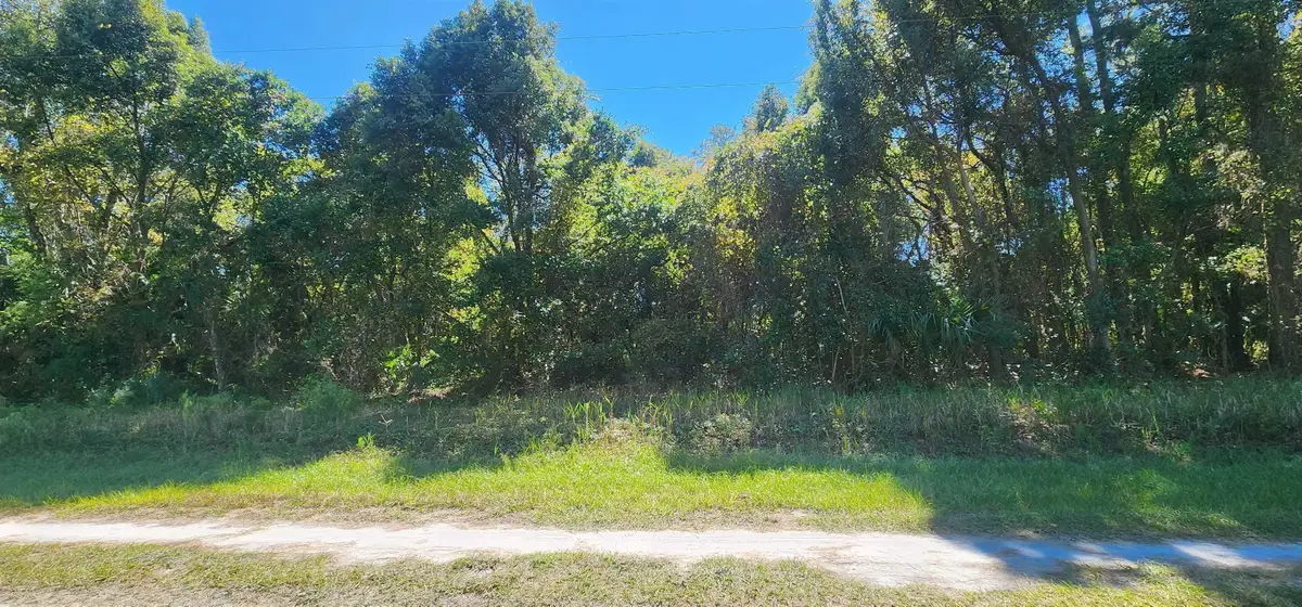 431 Redwood Blvd, Georgetown, FL 32139 - #1