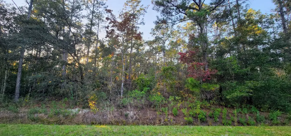 10165 Hennessey Ave, Hastings, FL 32145 - #1