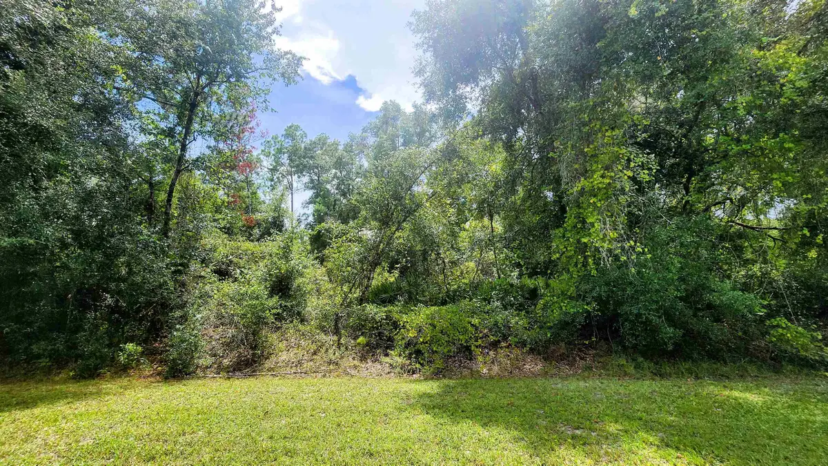 S Georgetown Point Rd, Georgetown, FL 32139 - #1