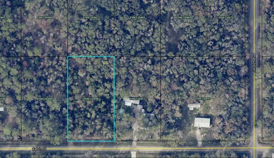 4730 Calvin St, Hastings, FL 32145 - #1