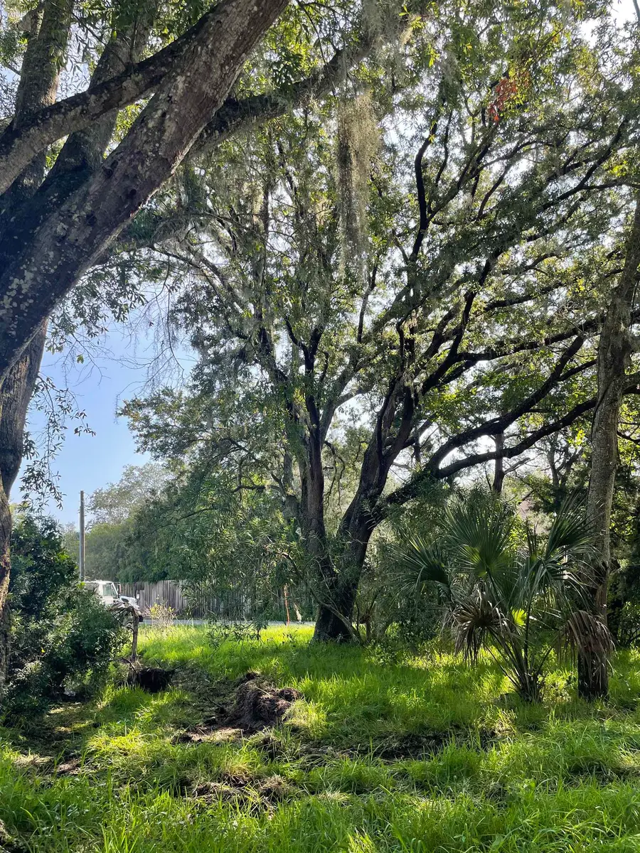 Madrid St Lot 3, Saint Augustine Beach, FL 32080 - #3