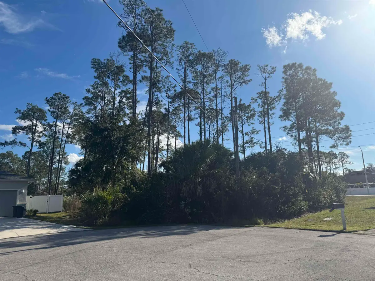 13 Random Pl, Palm Coast, FL 32164 - #1