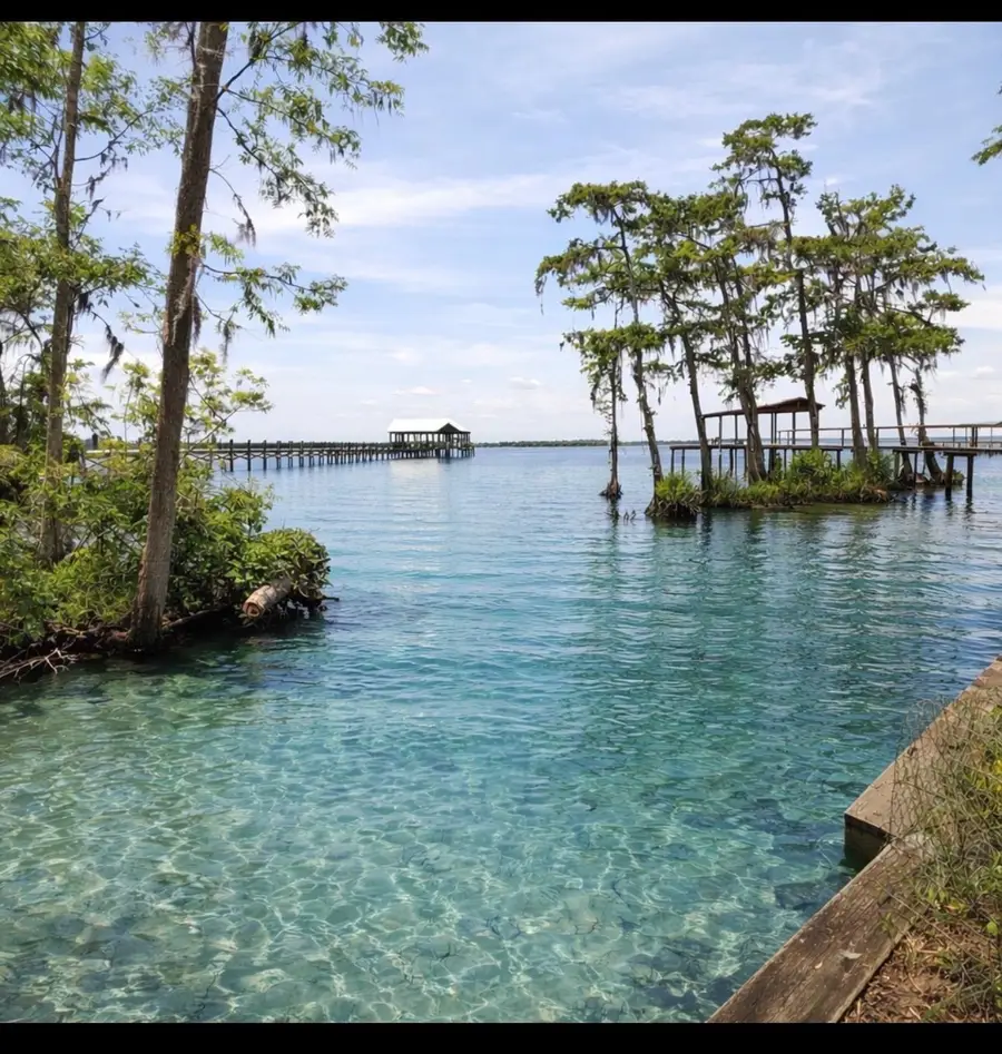 10115 County Road 13 N., Saint Augustine, FL 32092 - #3