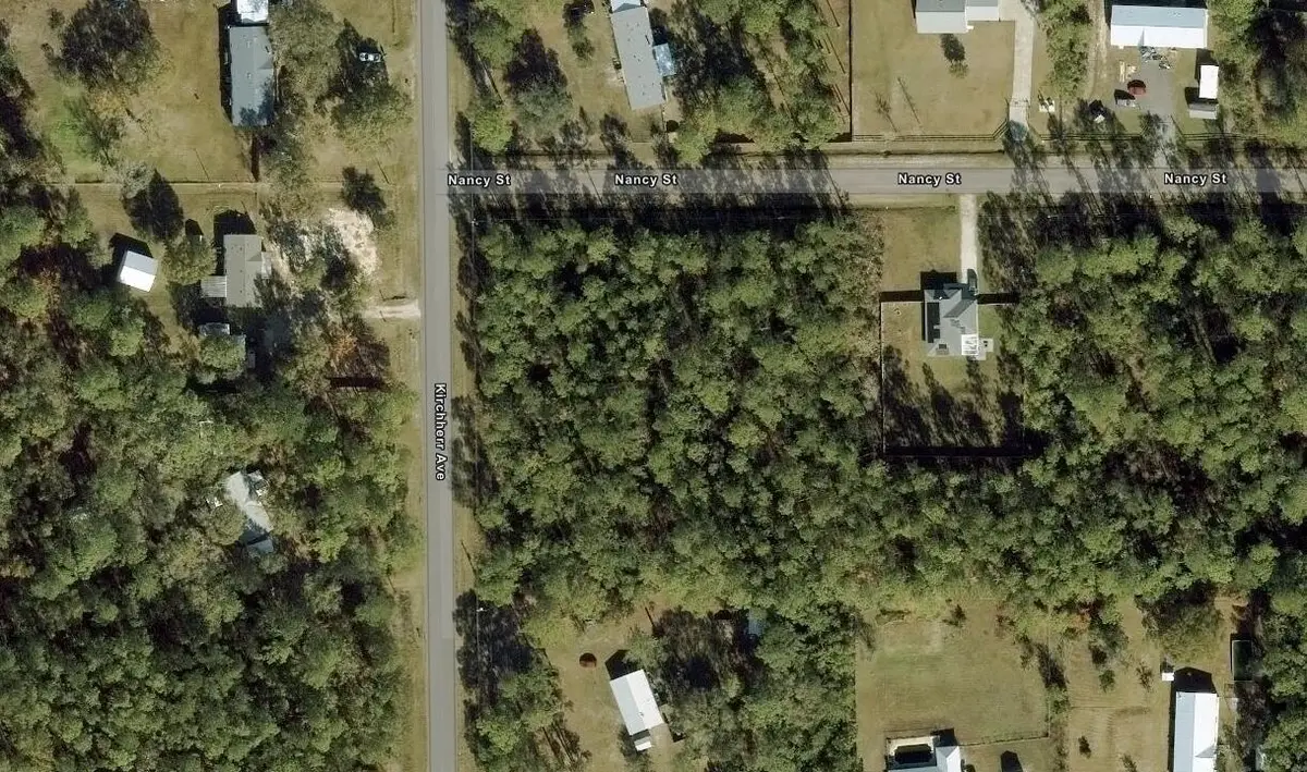 10040 Kirchherr Ave, Hastings, FL 32145 - #1