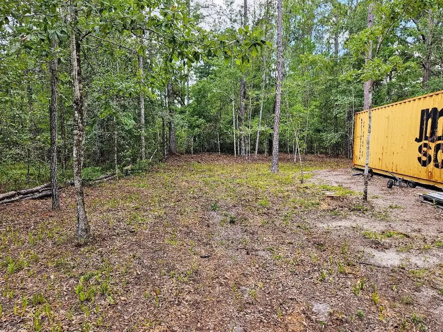 10345 Nikolich Ave, Hastings, FL 32145 - #3