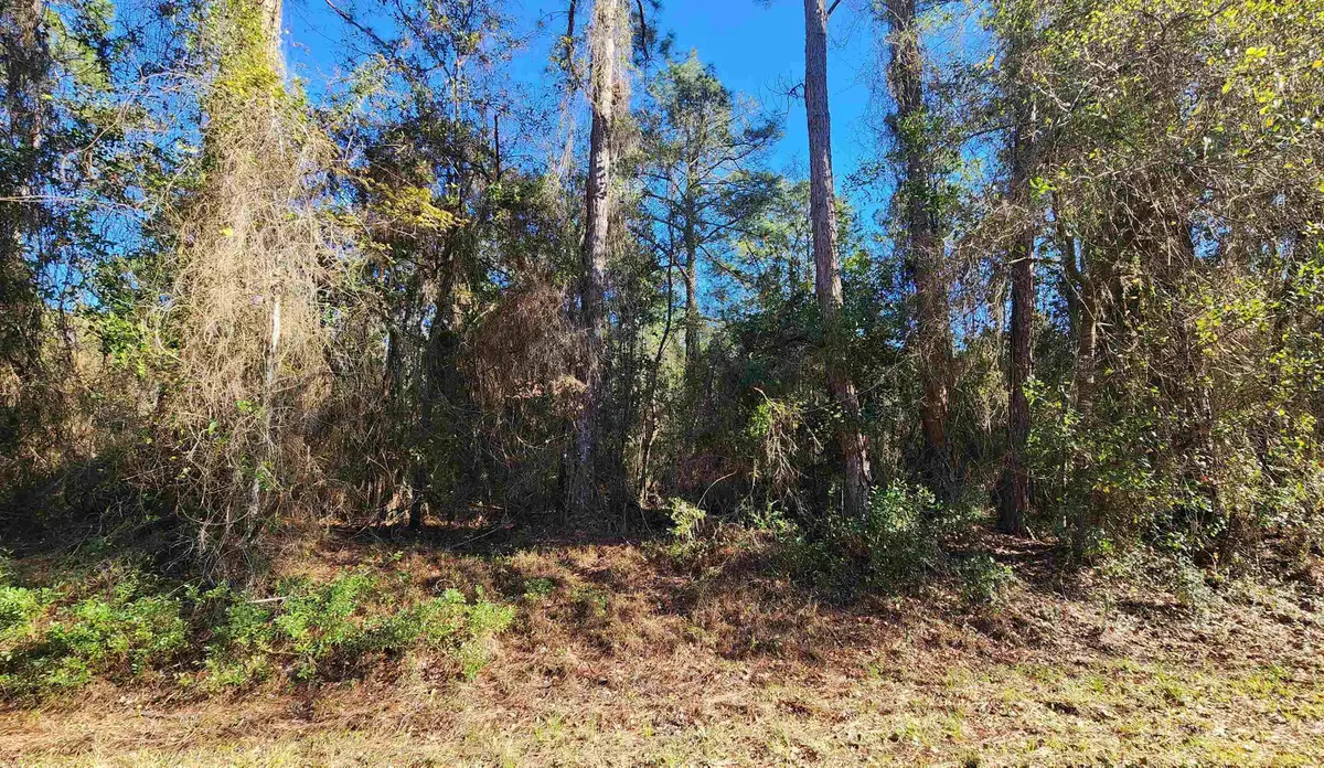 131 Georgetown Denver Rd, Georgetown, FL 32139 - #1