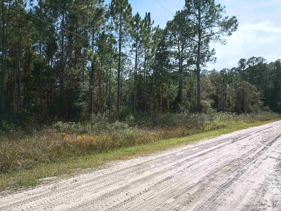 10520 Beckenger Ave, Hastings, FL 32145 - #3