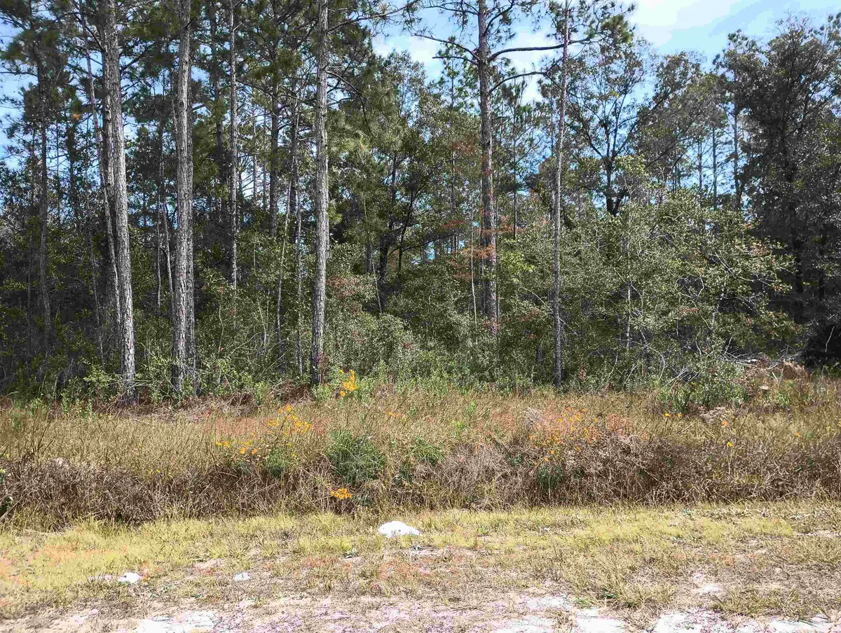 10440 Flikkema Ave, Hastings, FL 32145 - #1