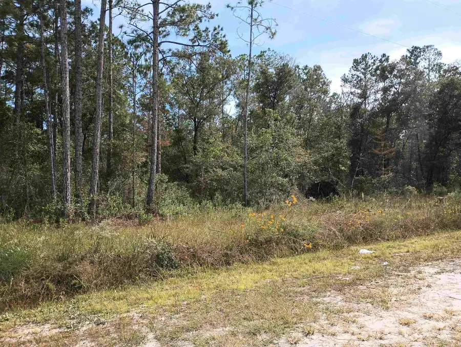 10440 Flikkema Ave, Hastings, FL 32145 - #2