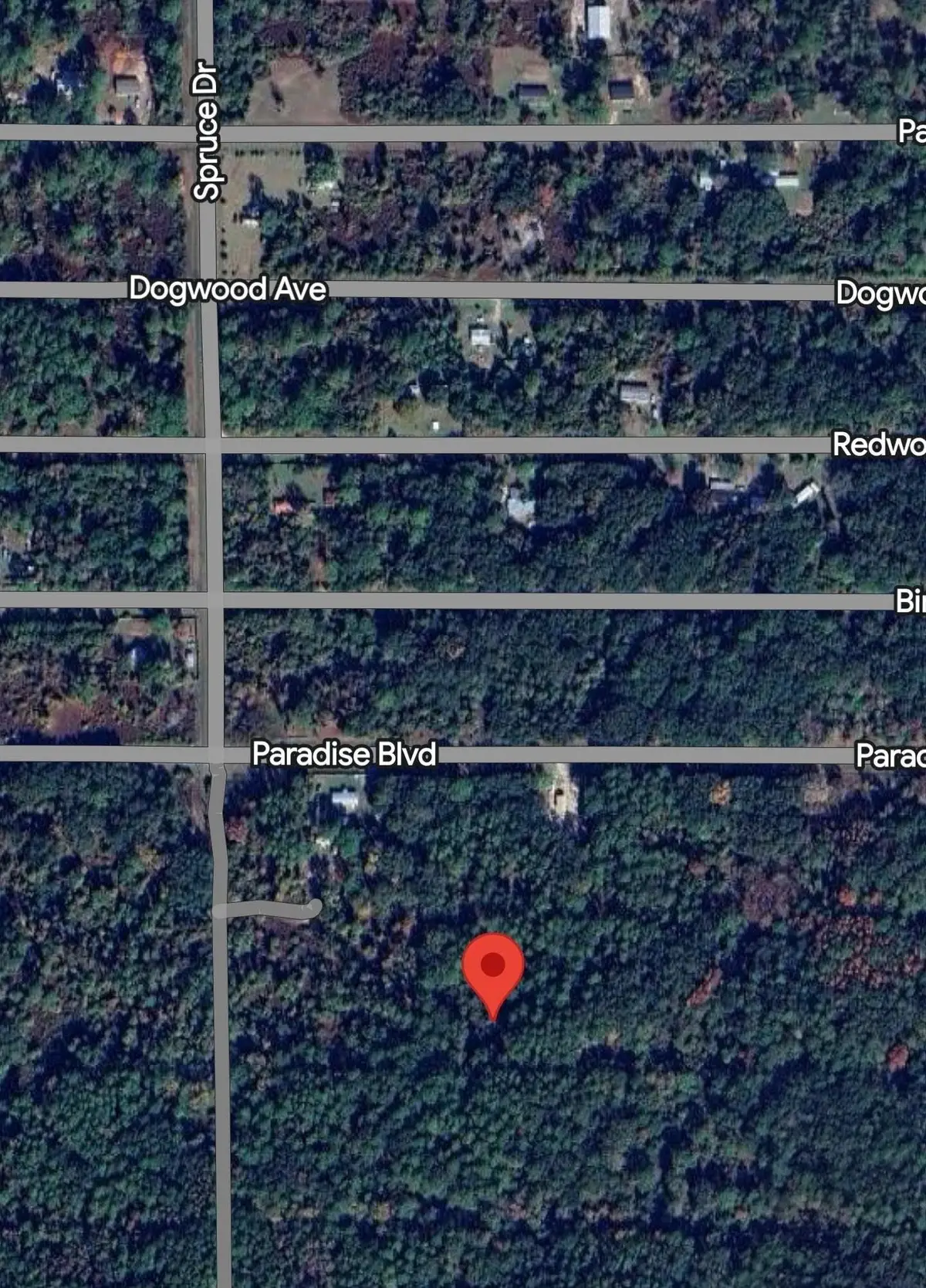 310 Laisy Dr, Georgetown, FL 32139 - #1