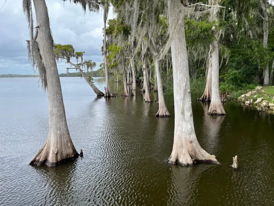 120 N July, Georgetown, FL 32139 - #2