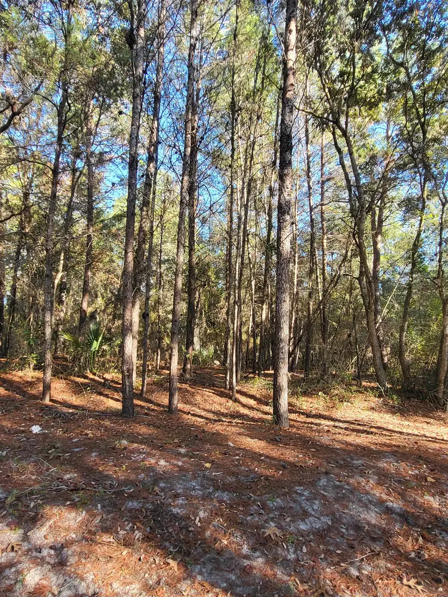 00 Beulah Church Rd, Crescent City, FL 32112 - #2