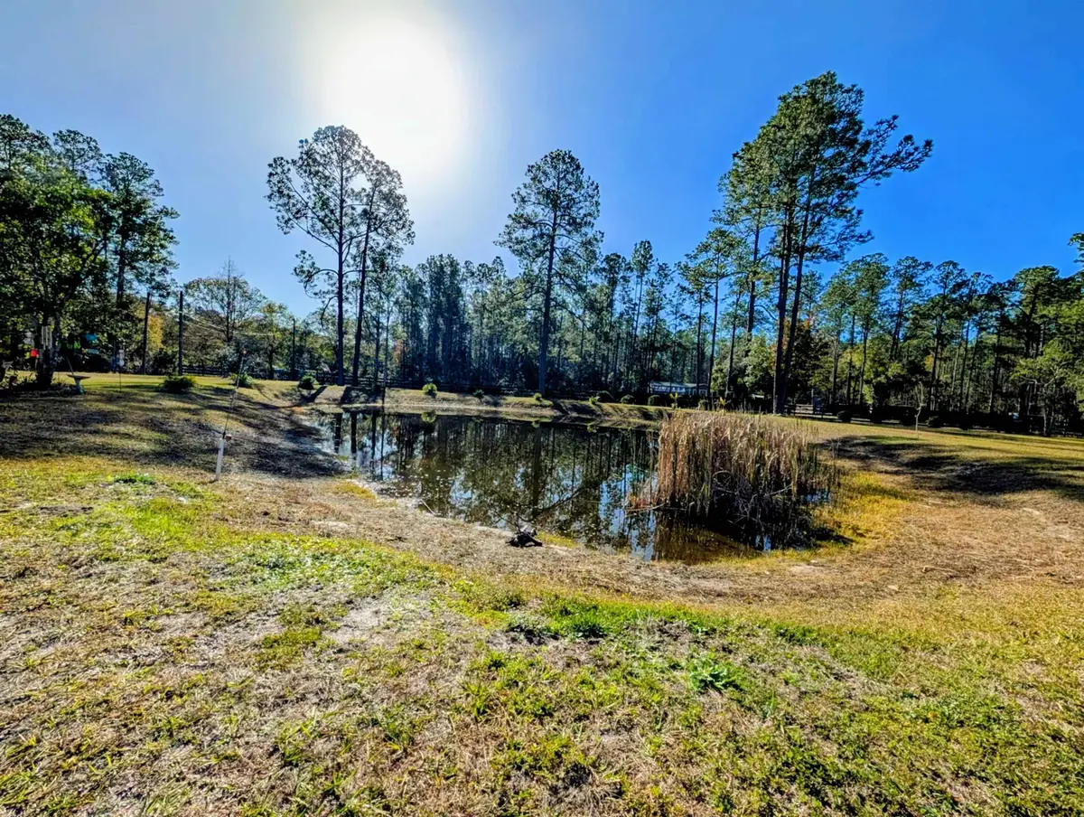 4350 Nancy St, Hastings, FL 32145 - #1