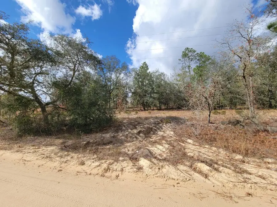 000 Twin Lakes Blvd, Interlachen, FL 32148 - #3