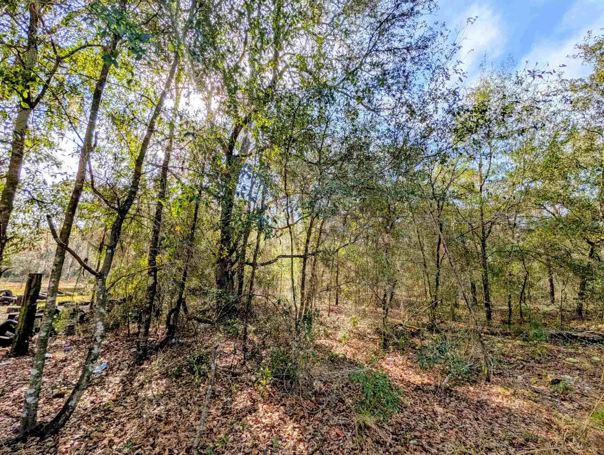 TBD Cherry St, Interlachen, FL 32148 - #1