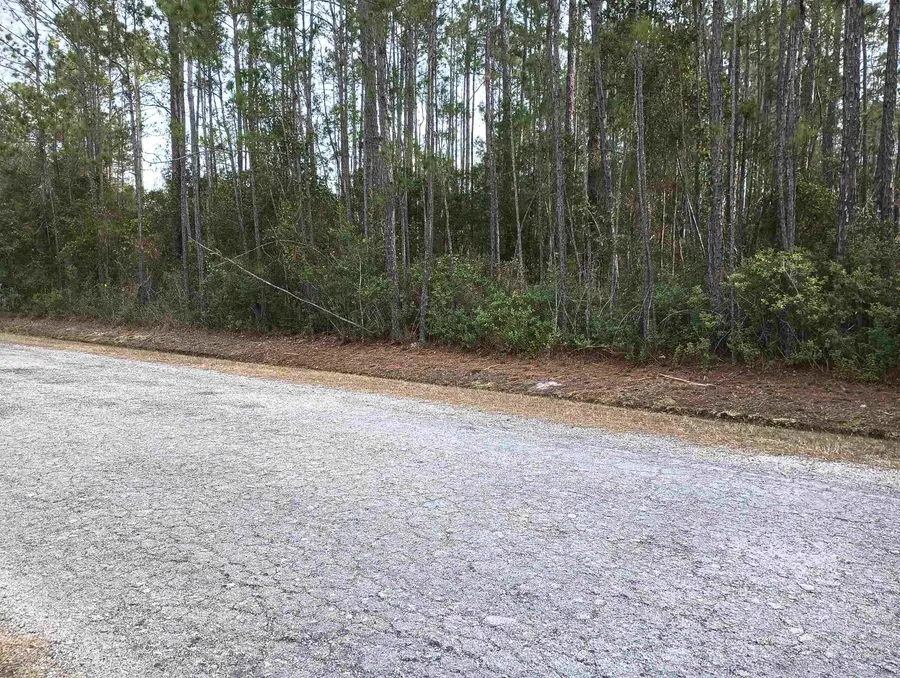 10230 Dillon Ave, Hastings, FL 32145 - #3