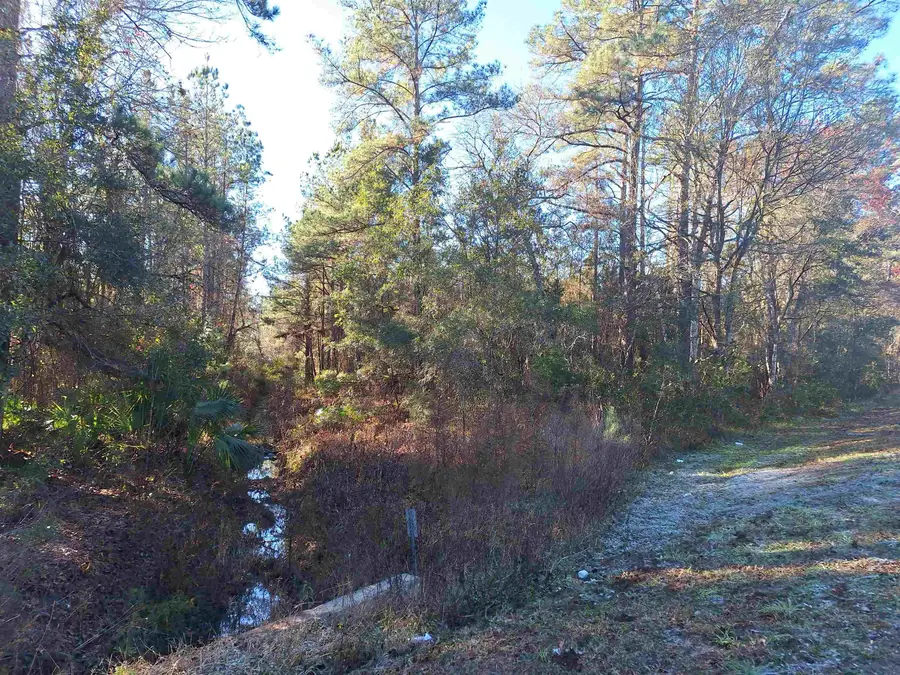 1075 S State Rd 19, Palatka, FL 32177 - #3