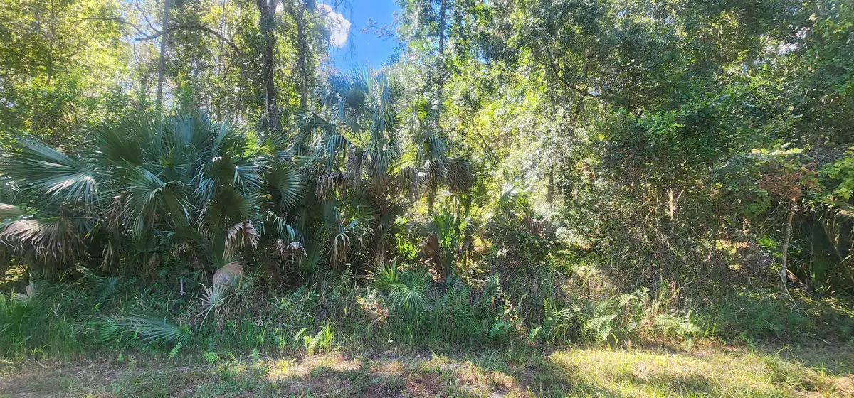 427 Dogwood Ave, Georgetown, FL 32139 - #1