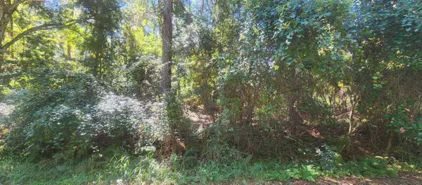 421 Dogwood Ave, Georgetown, FL 32139