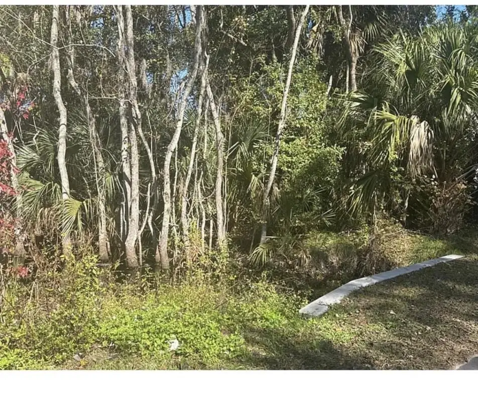 0 Collier Blvd, Saint Augustine, FL 32084 - #1