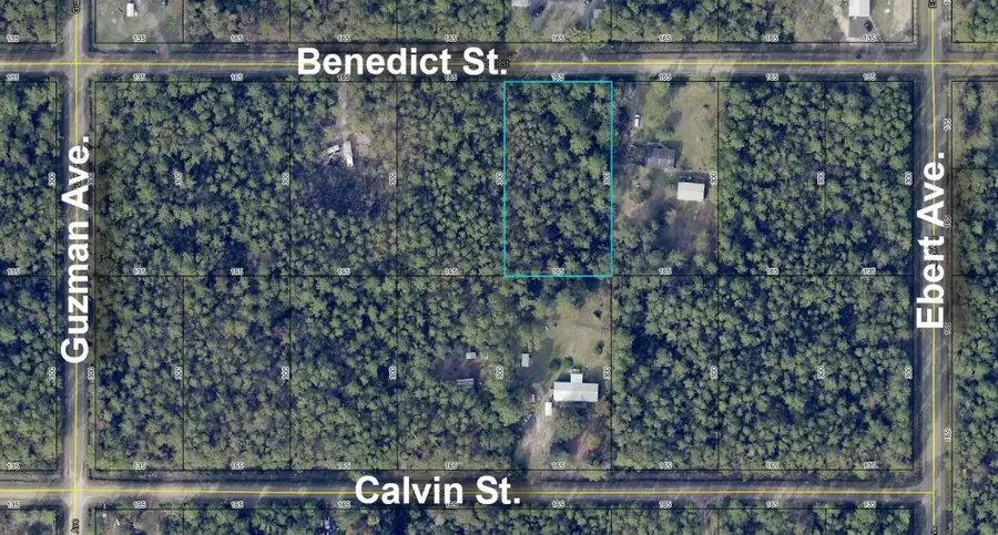 4235 Benedict St, Hastings, FL 32145 - #3