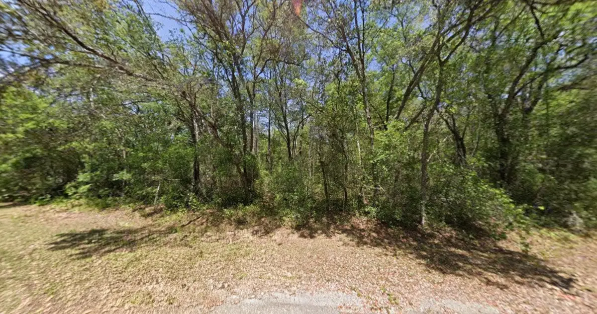 Guava Lane Trak, Ocklawaha, FL 32179 - #1