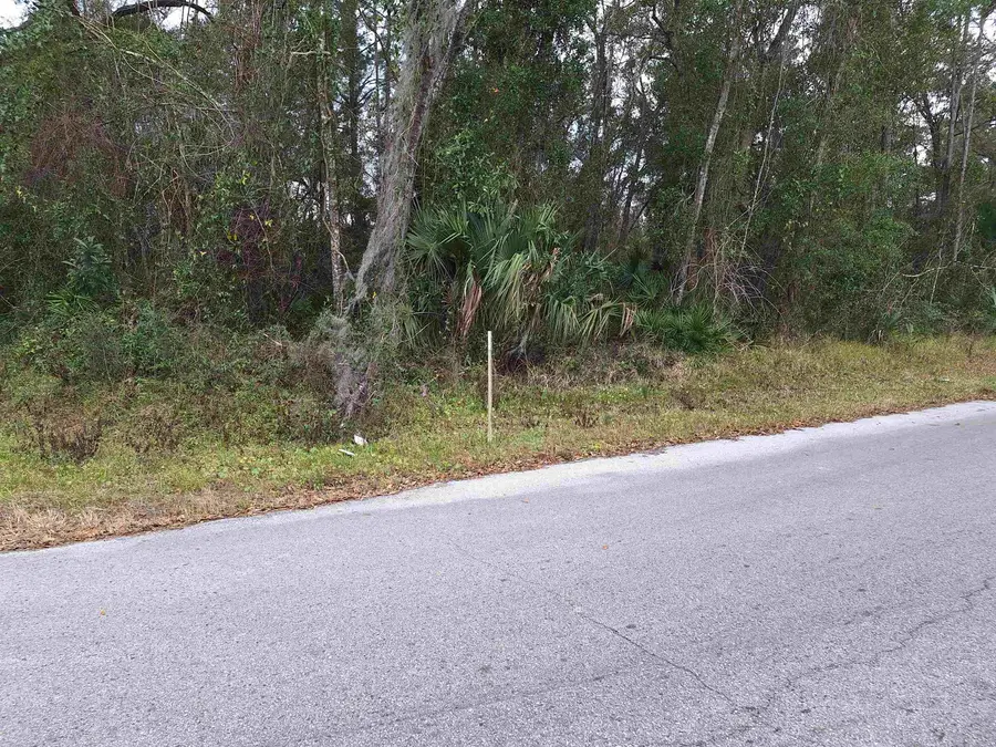 115 E Harris St, Palatka, FL 32177 - #3
