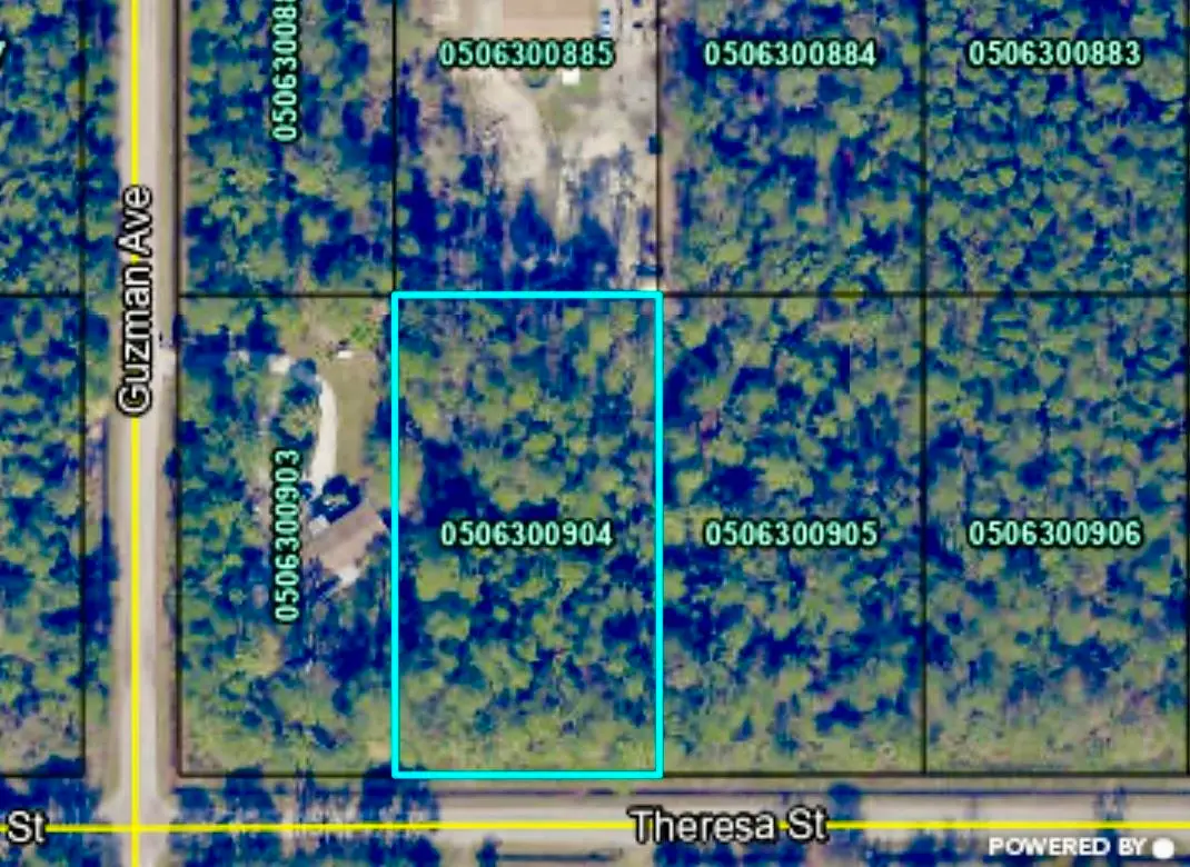 4260 Theresa St, Hastings, FL 32145 - #1