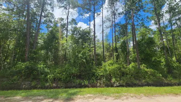 0 Erickson Ave, Hastings, FL 32145